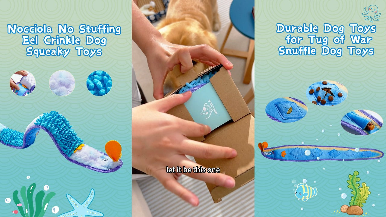 No Stuffing Eel Crinkle Dog Squeaky Toys - Durable Dog Toys for Tug of War (2pk)