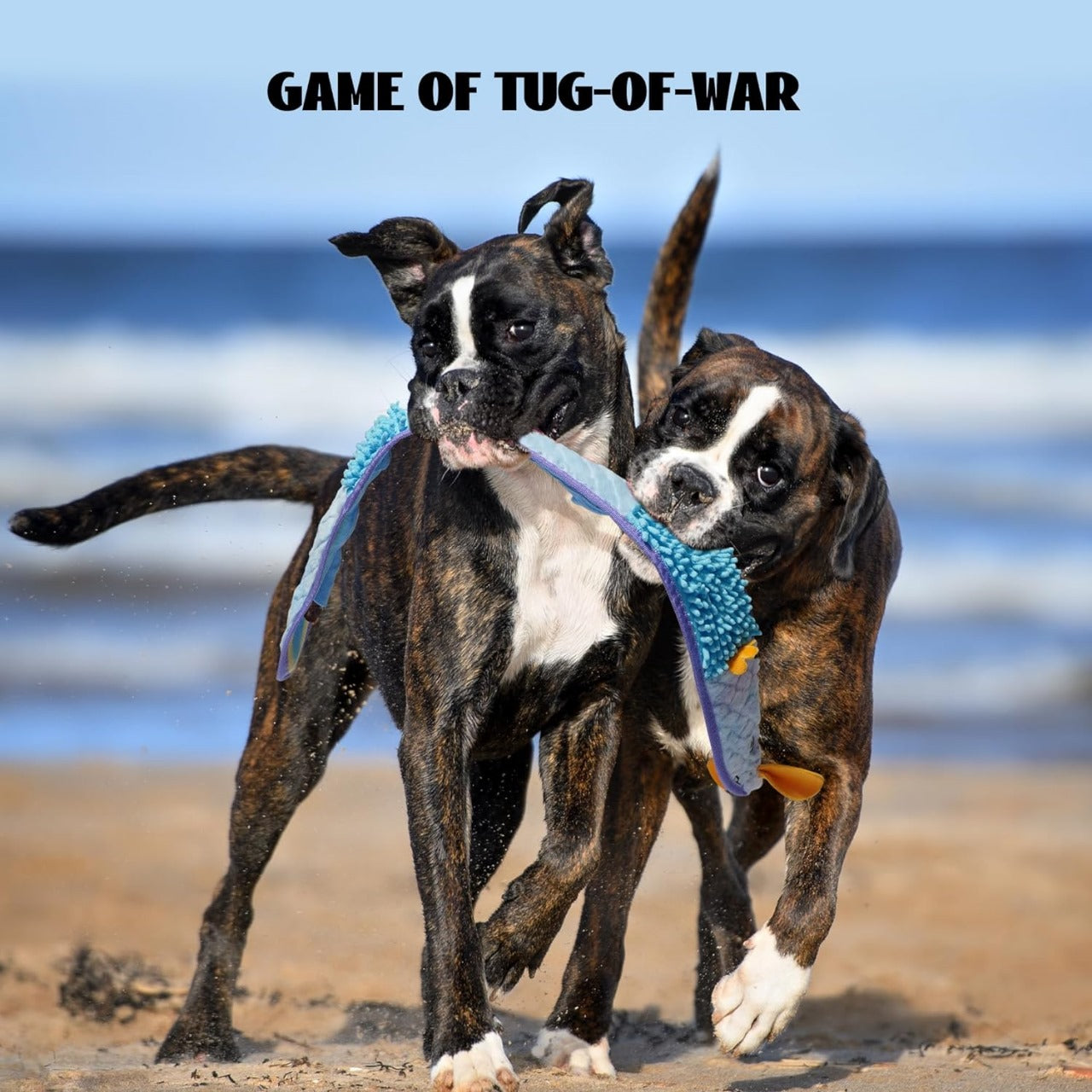 No Stuffing Eel Crinkle Dog Squeaky Toys - Durable Dog Toys for Tug of War (2pk)